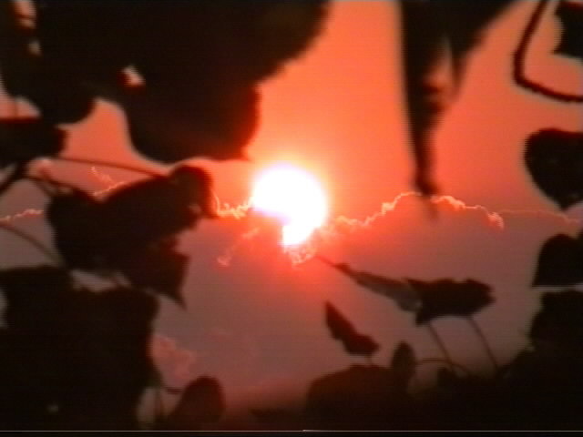 Sonne
